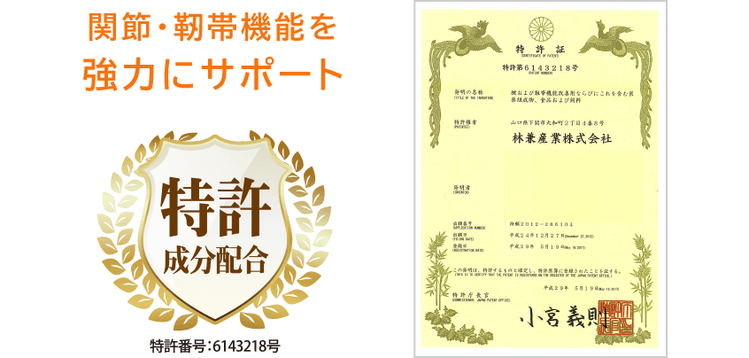 関節・靭帯機能を強力にサポート 特許成分配合